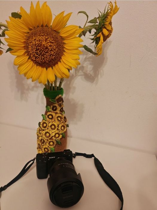 Sony Alpha 6300 /Obiectiv FE 3.5-6.3/24-240 OSS