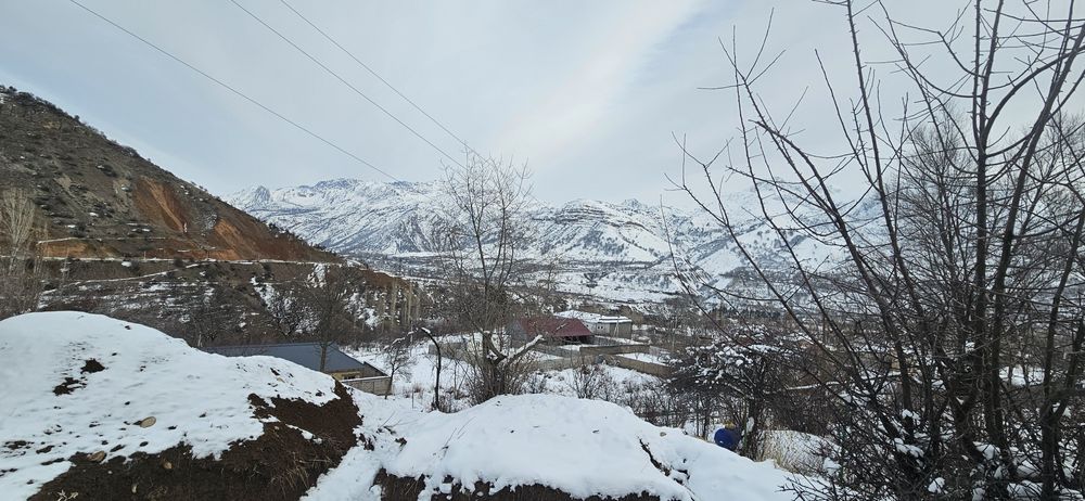 Дала ховли учун ер участкаси