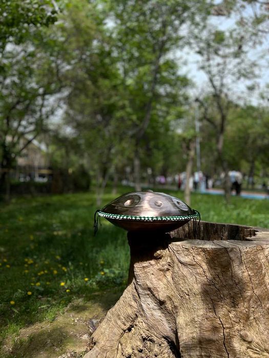 Хэндпан (Ханг) ручной работы, строй Celtic D