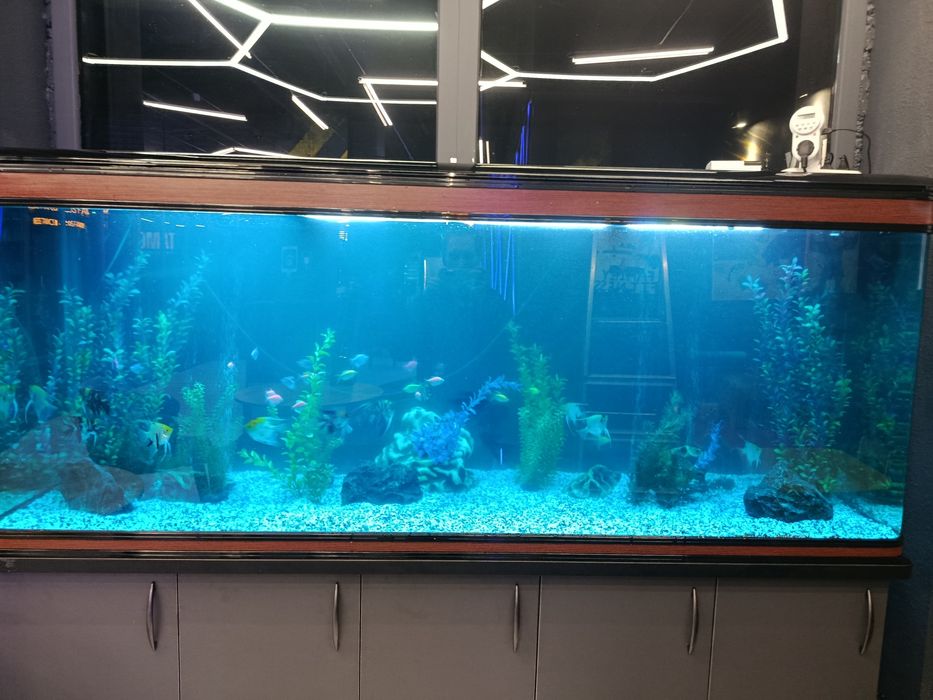 Обслужuвание акварuумов