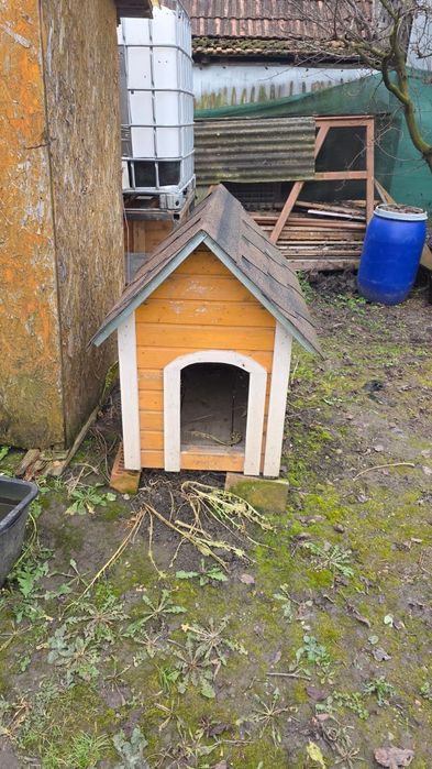 Casuta catel de talie medie