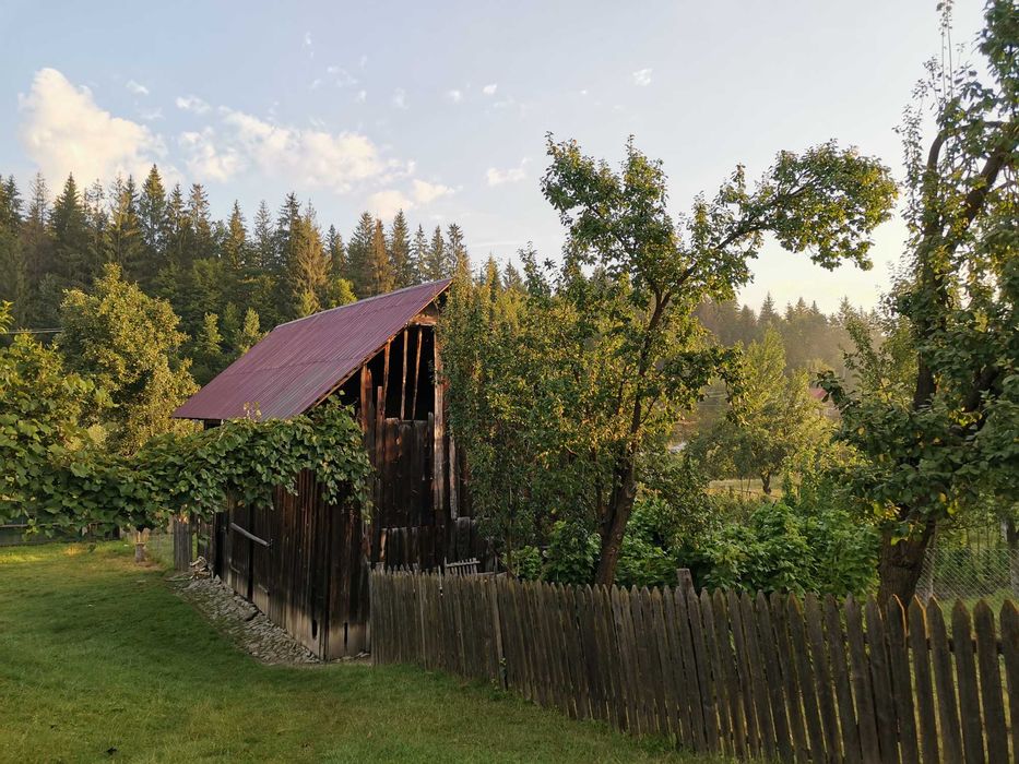 Vand teren intravilan cu casă – 7400 mp în Sasca Mare, Suceava