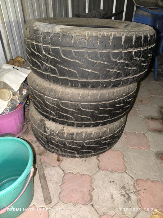 Продам шины на Прадик