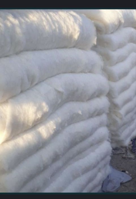 Paxta titish xizmati