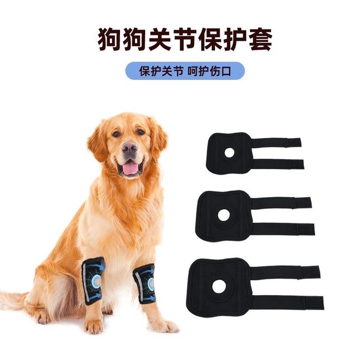 Бандаж для собак