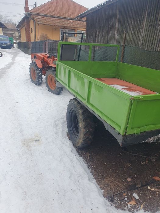 De vânzare pasquali adus Italia