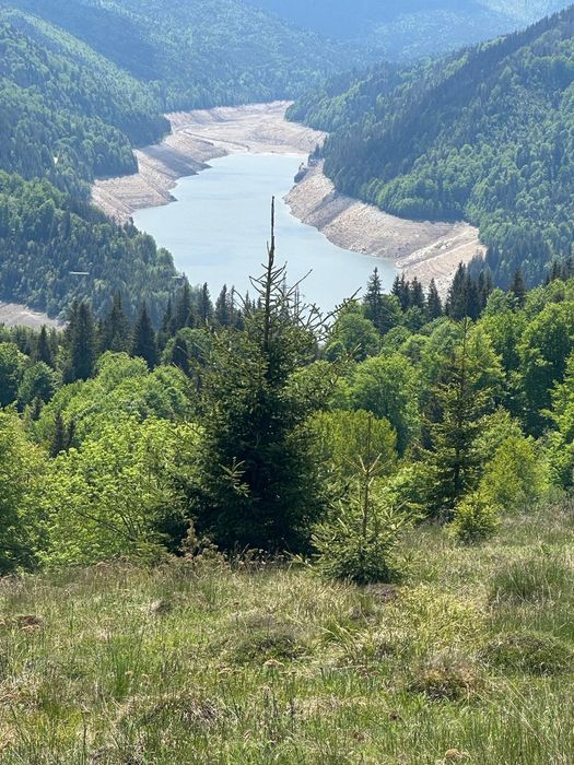 Teren de vânzare