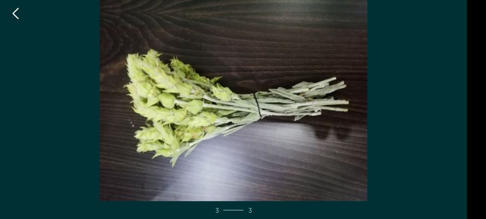 Мурсалски    Чай