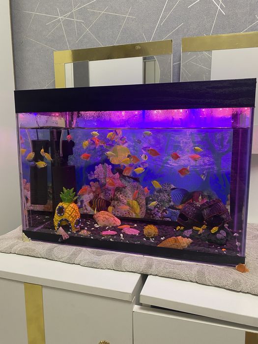 Аквариум в комплект