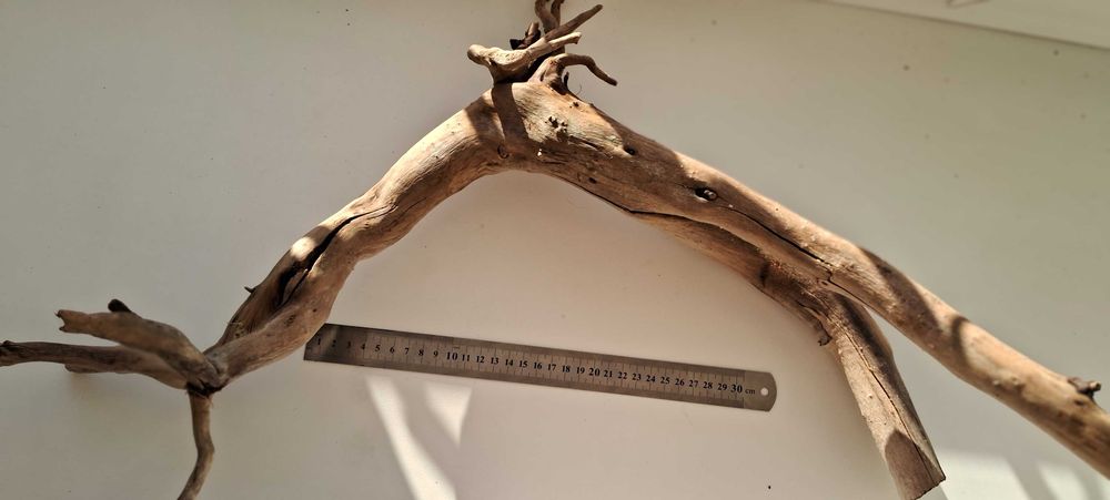 Коряга в аквариум