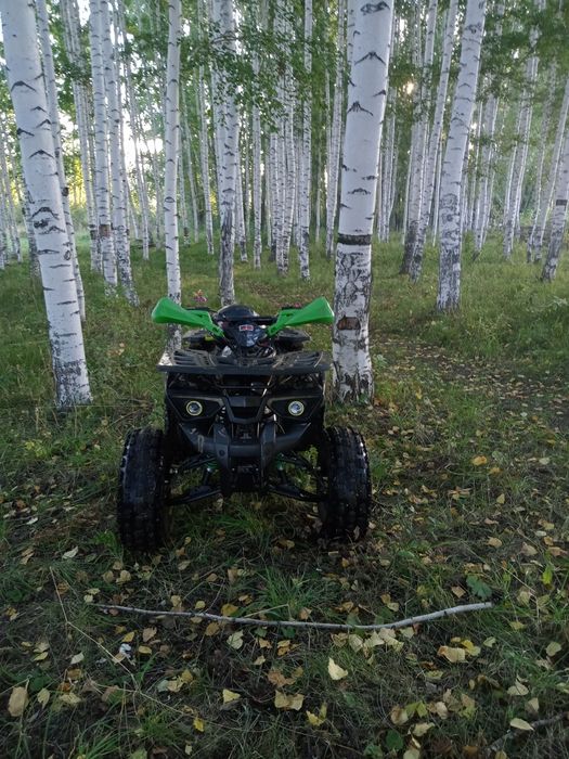 Квадрик 130 кубов