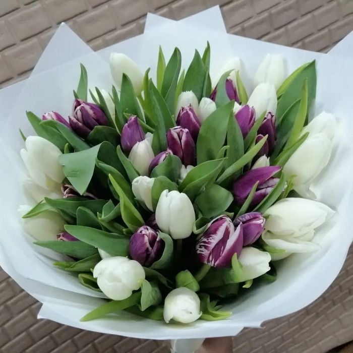 Тюльпаны оптом от 420 тенге