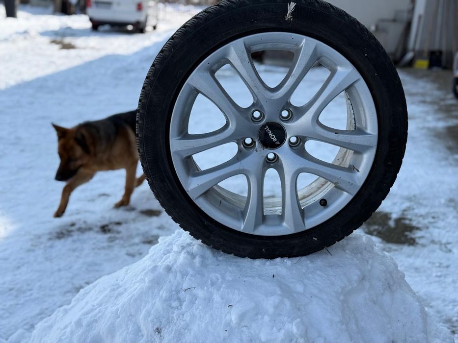 Vand Jante originale grupul WAG