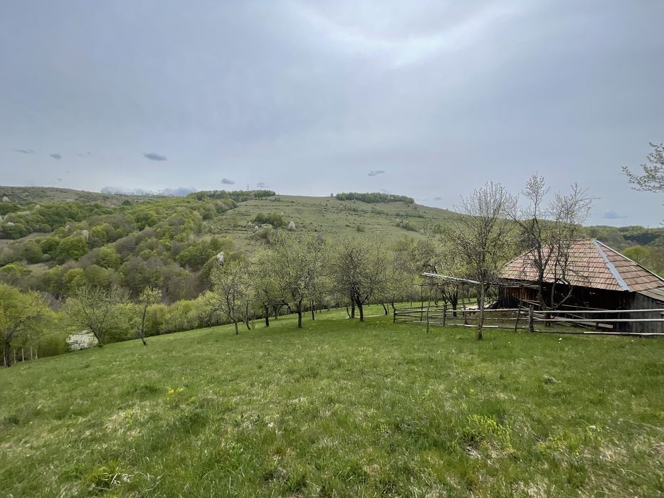 Casa ,livada si padure in com batrana jud hunedoara tinutul padurenilor