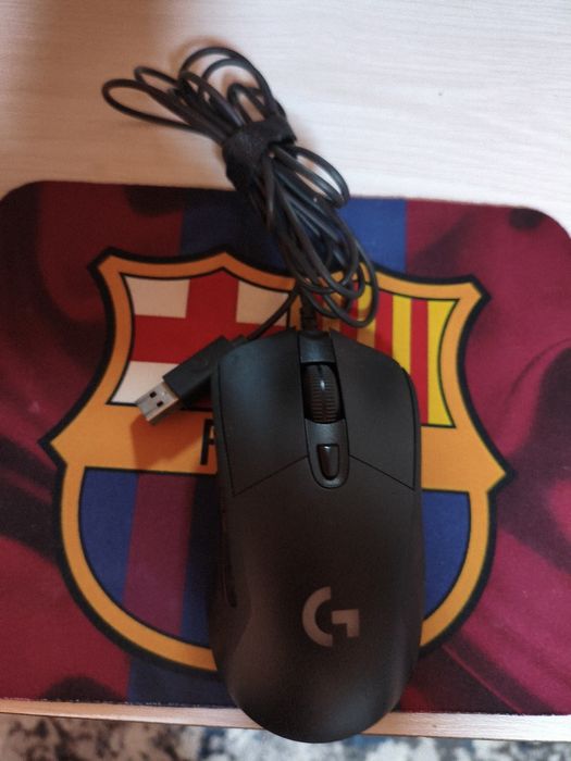 G403  sichqoncha