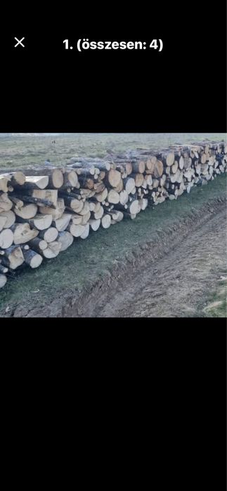 Lemne de foc carpen stejar