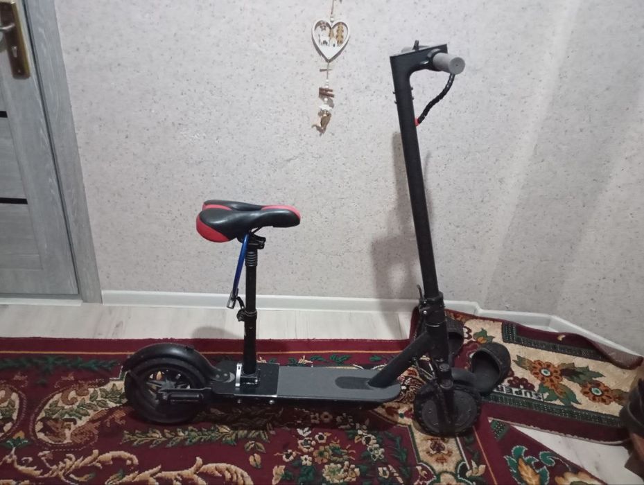 Samakat kop xaydalmagan xolati yangi