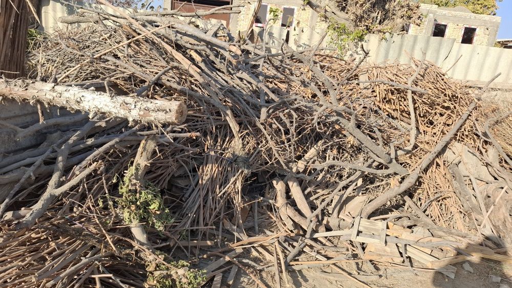 Залдори утинлари сотилади