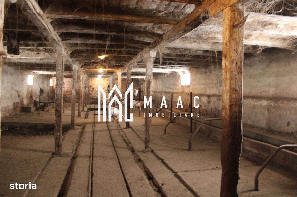 Oportunitate de Aur la Intrarea în Vurpar