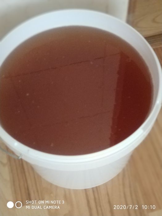 Мед свежий 2025 года