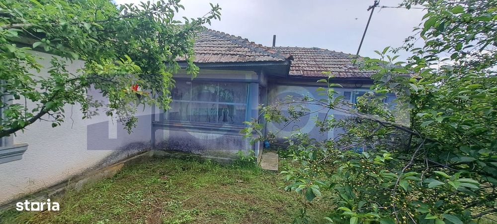 Vanzare Casa | Teren 2500 Mp | Livada Si Vie | Sat Brebina – Scrioaste