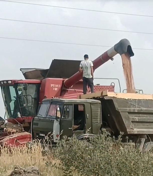 50.88 Sotiladi yili 2009