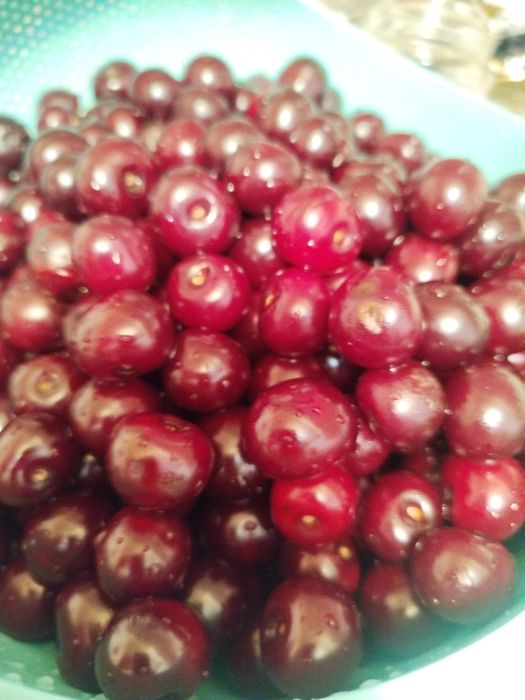 Шпанка  замороженные музлатилган продаю