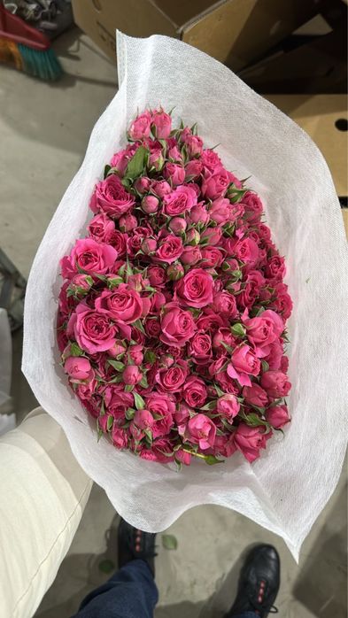 Розы, сирень, пионы все по оптовой цене