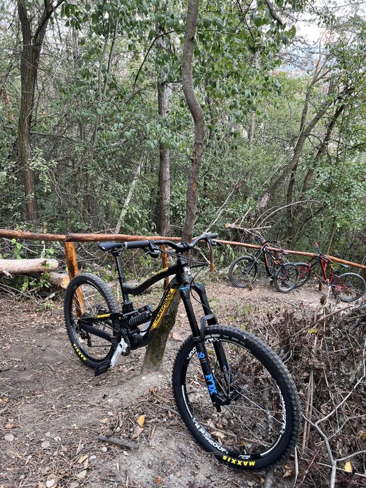 Nukeproof scalp 2018