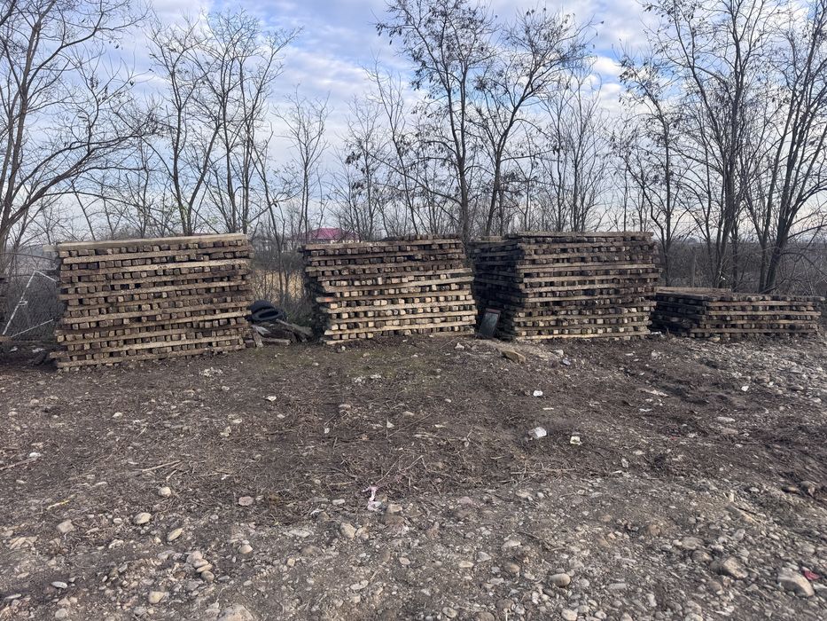 Vand spalieri vie din defrisare