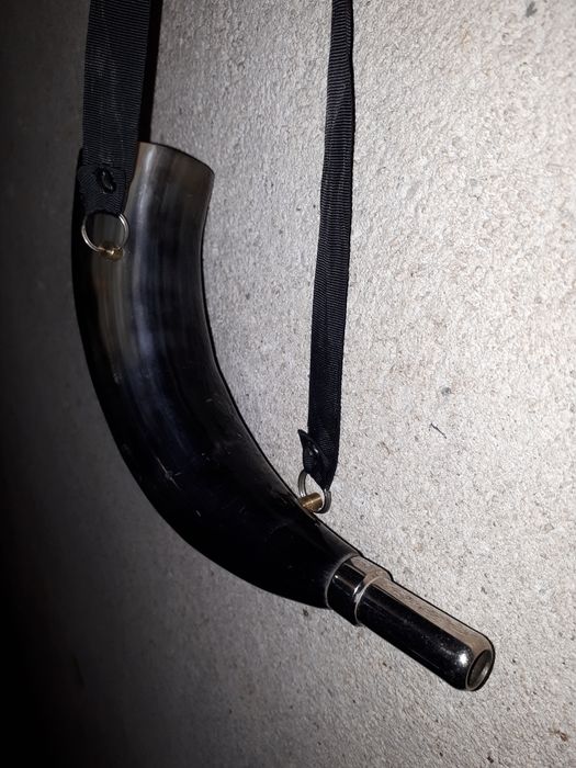 рог за примамване наедър дивеч