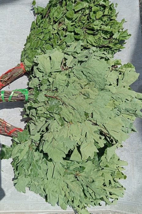 Травы   для бань