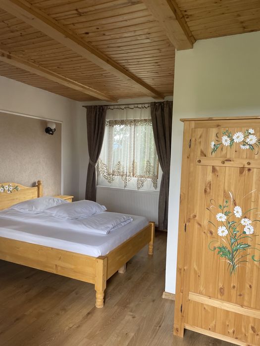 Vila la munte Vladeni-Brasov