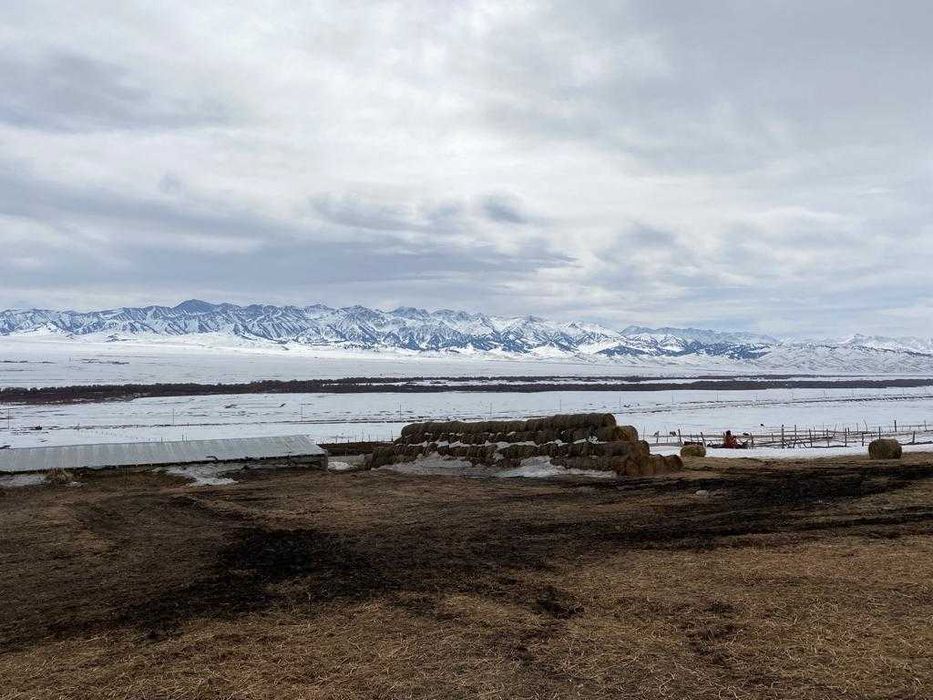 Продам Крестьянское хозяйство