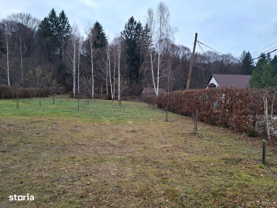 Teren 2000 mp, intravilan, langa padure,  pe Valea Avrigului-Sibiu