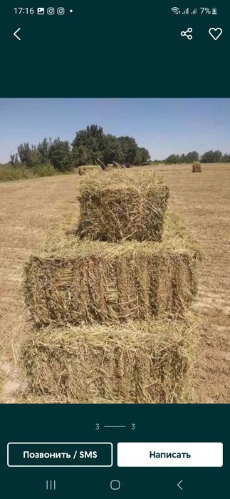 Somon press+Beda press+qamich