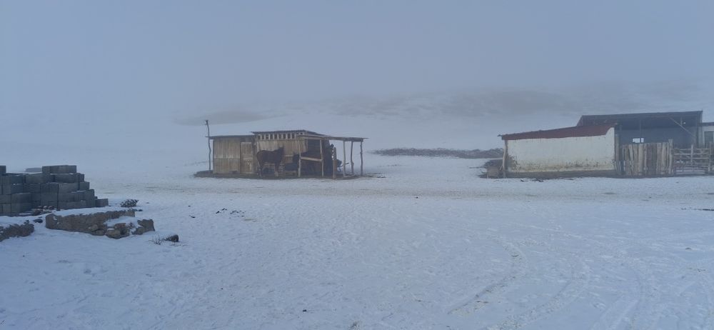 Продаётся Фазенда