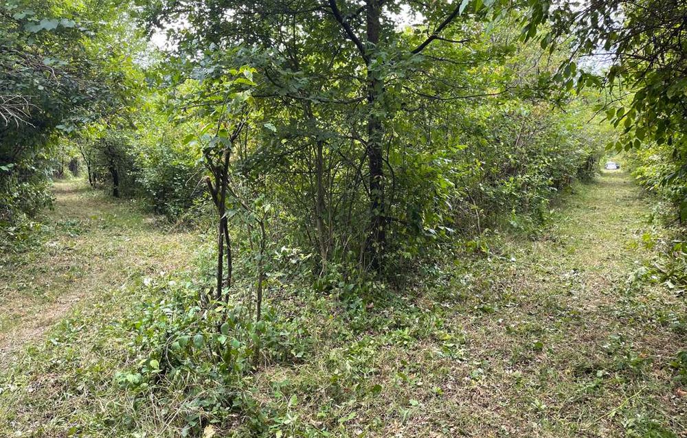 Tautii-Magheraus ,teren intravilan 62 ari , deschidere 119m