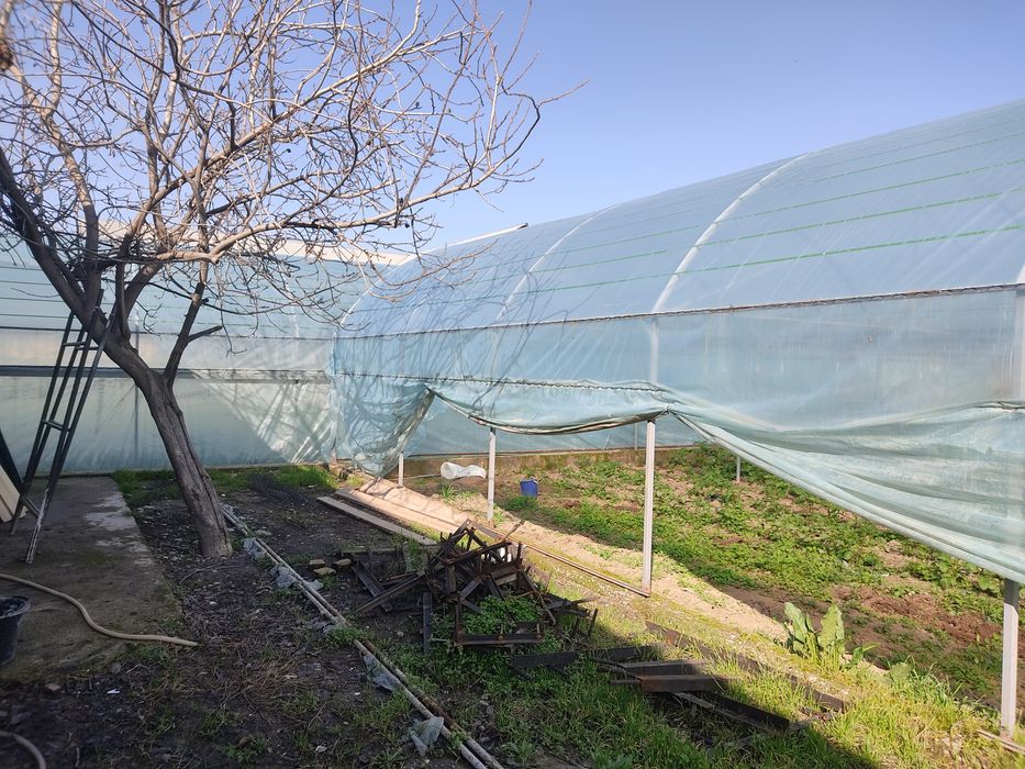 Parnik Issiqxona Teplitsa