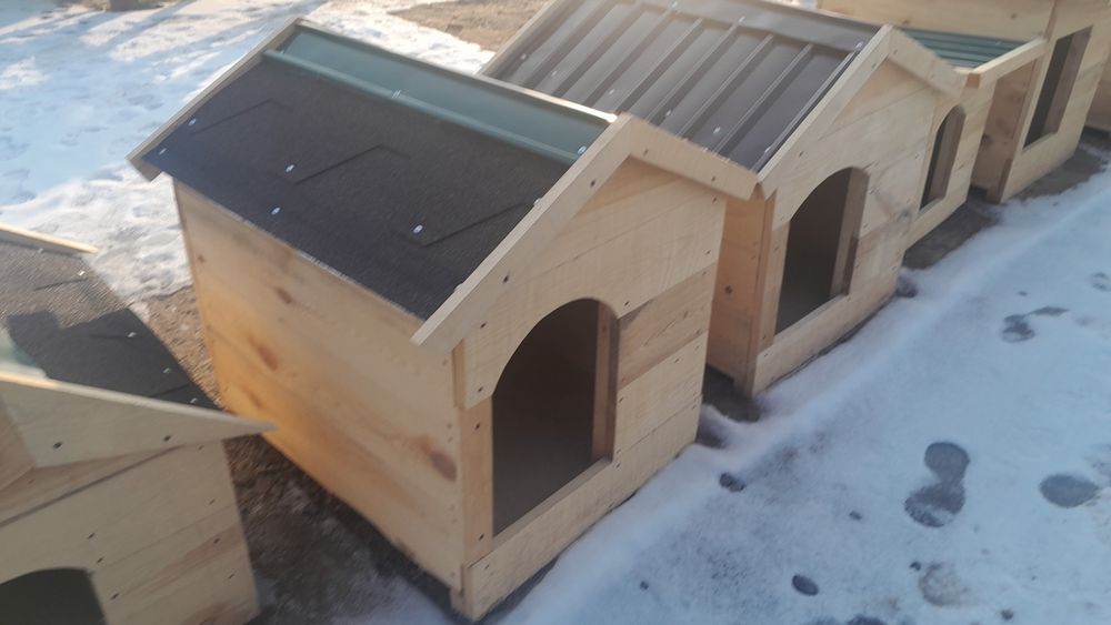 Собачье.     будка