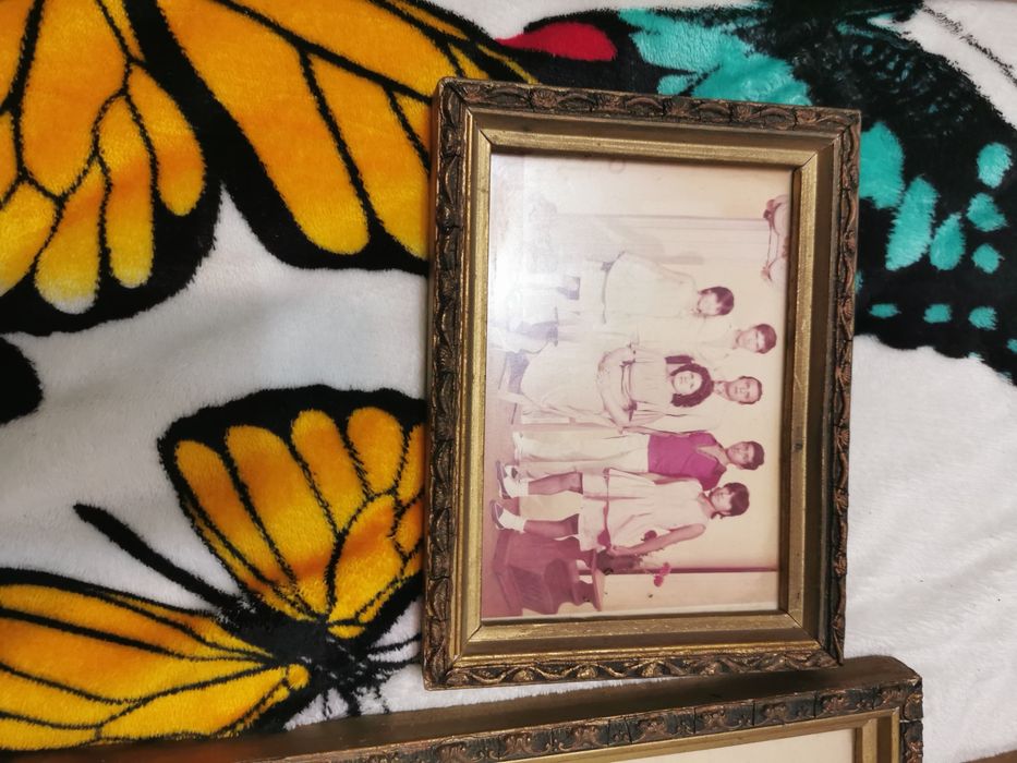 Rame vechi protejate cu geam