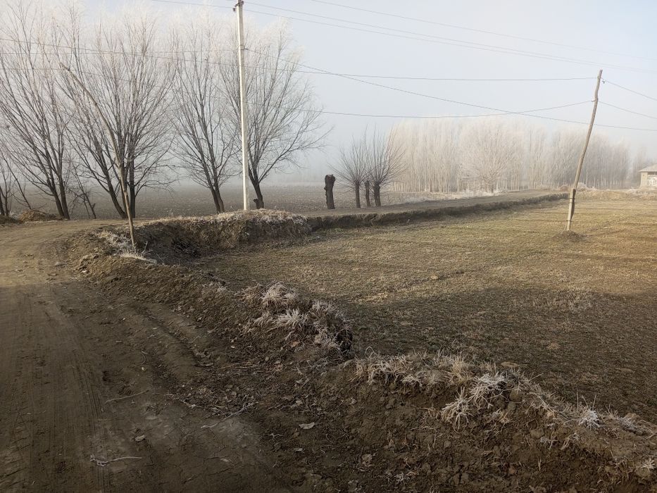 Srochniy plan sotiladi