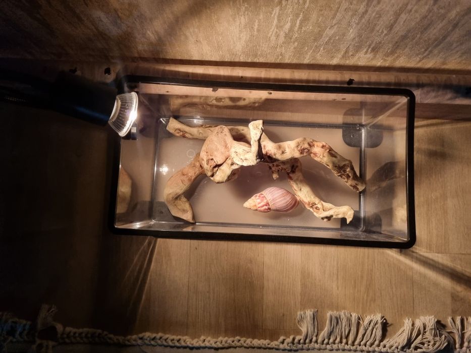 Продам пластиковыи аквариума 20лт