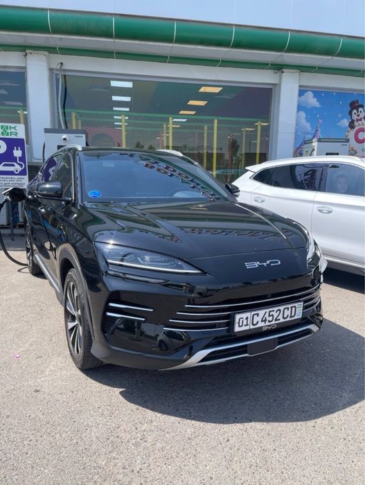 Byd Chempion gibrid 3000$ bilan nomizga ótadi