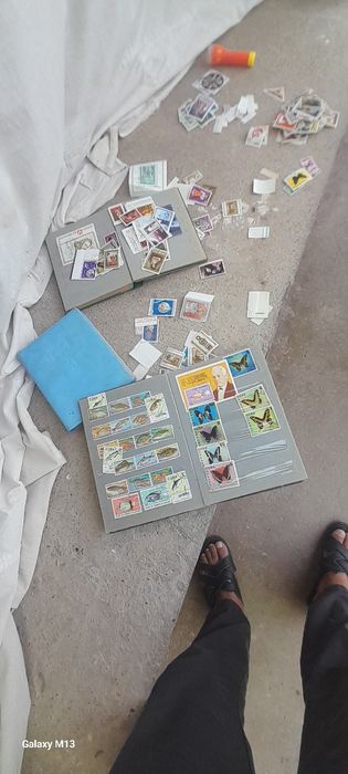 Хар хил турдаги маркалар