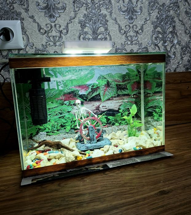 Аквариум срочно продам