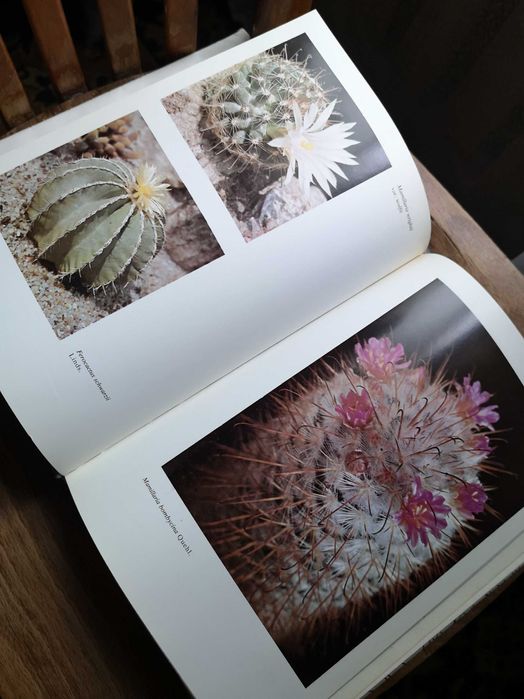 Книга-справочник о кактусах