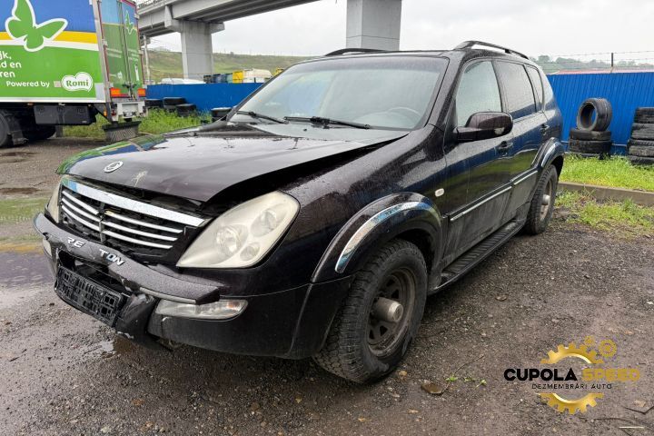 Far dreapta (de Europa) SsangYong Rexton generatia 1 [2001 - 2007]