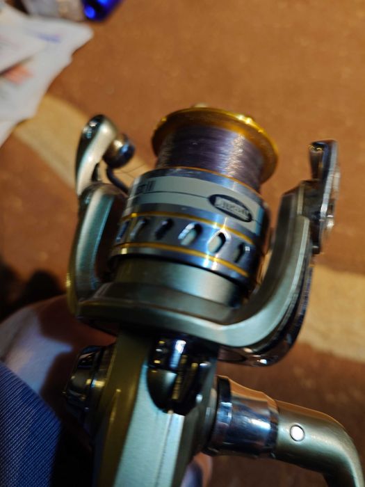 Mulineta Michell avocet2