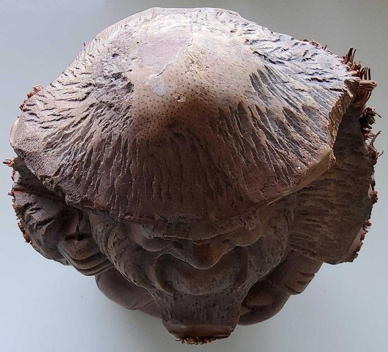 Sculptură în bambus, Dimensiuni 29,5 cm